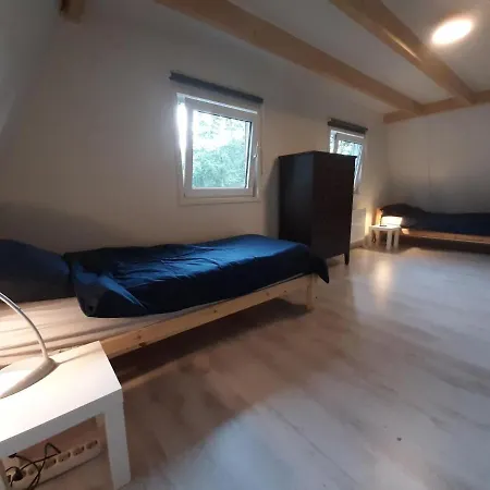 Holiday home Holiday With Hot Tub In Voorthuizen